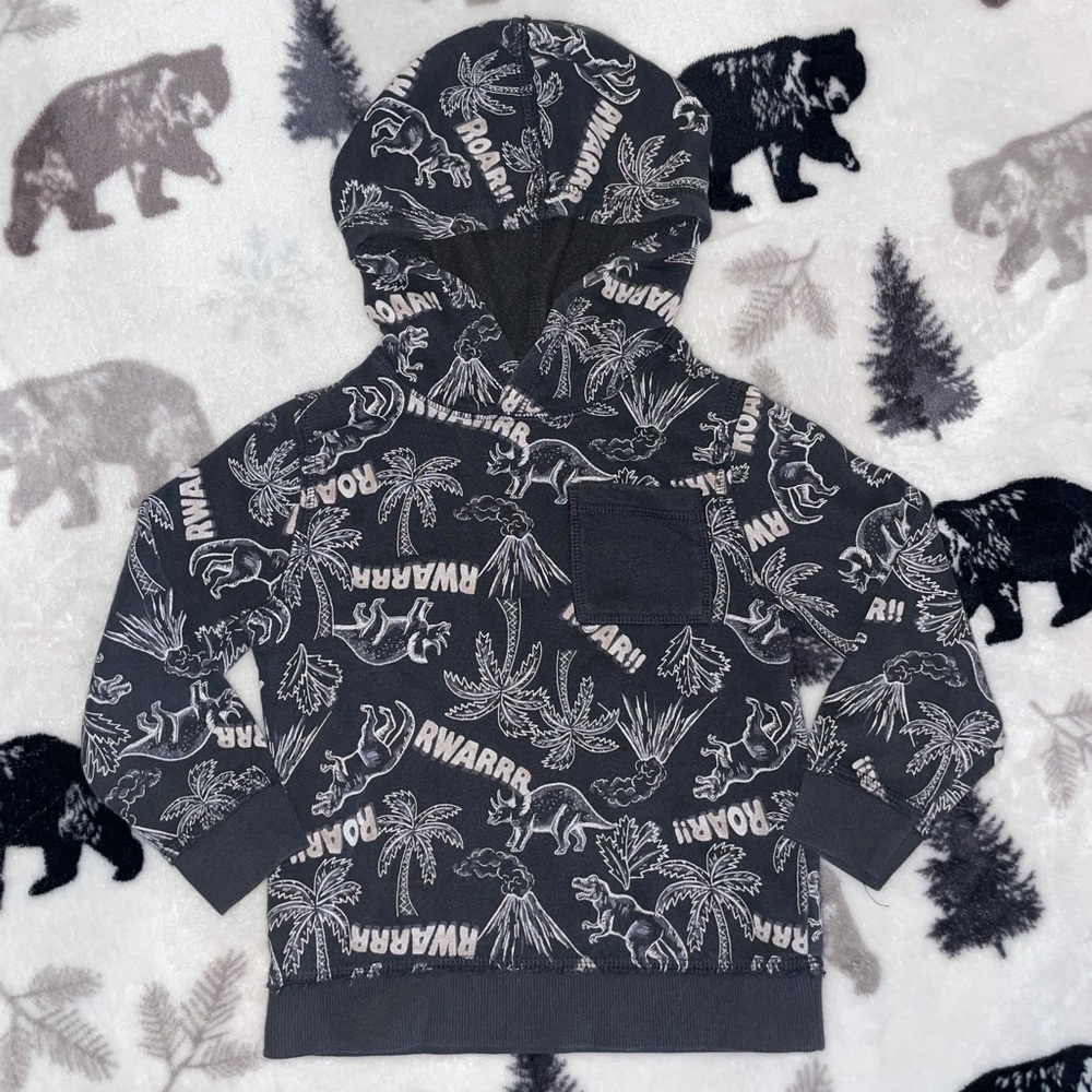 🦖4T Boys Hoodie🦖